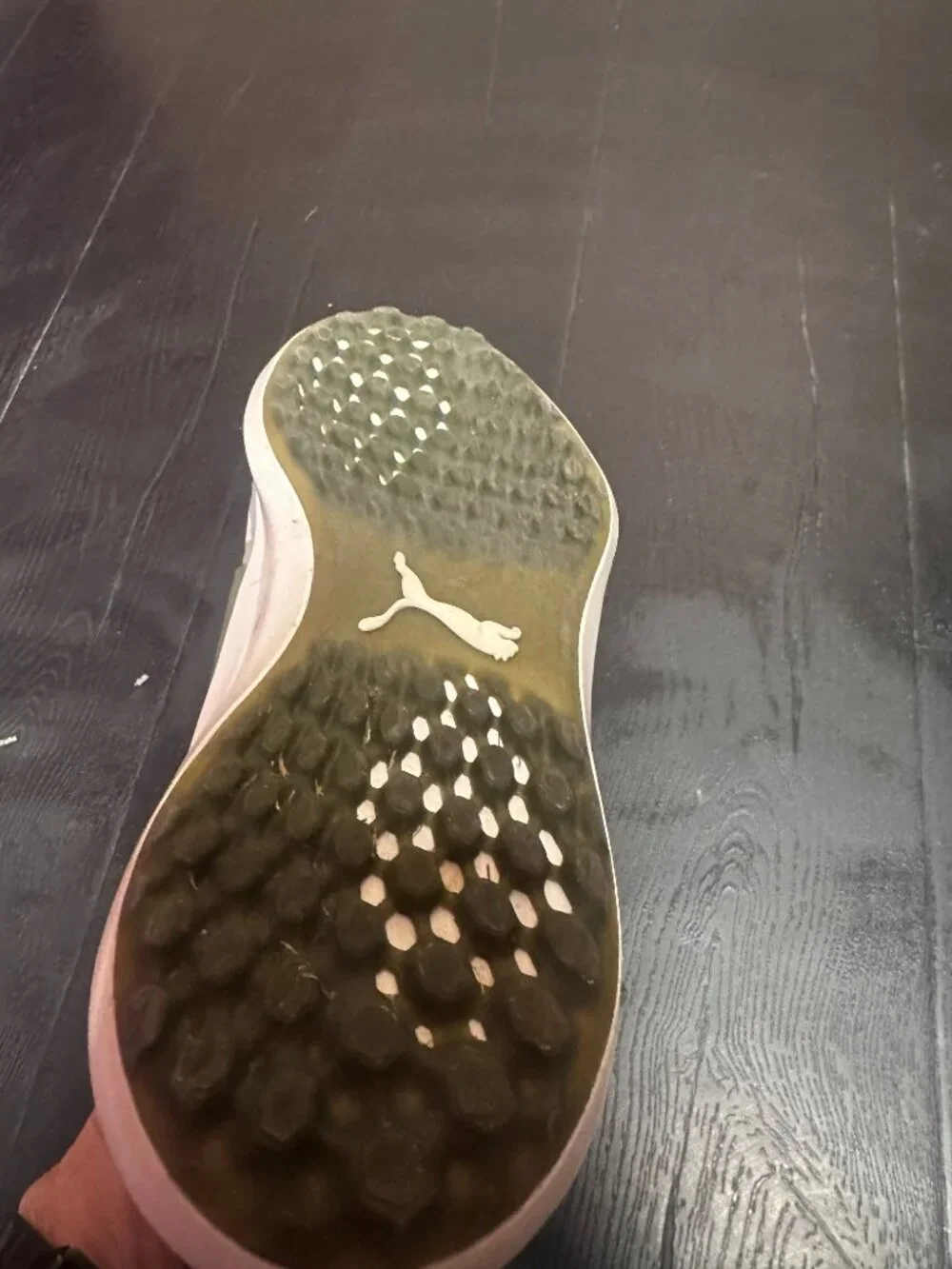Puma Ignite Golf Shoes